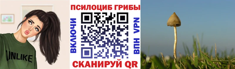 даркнет сайт  Монино  Галлюциногенные грибы MAGIC MUSHROOMS 